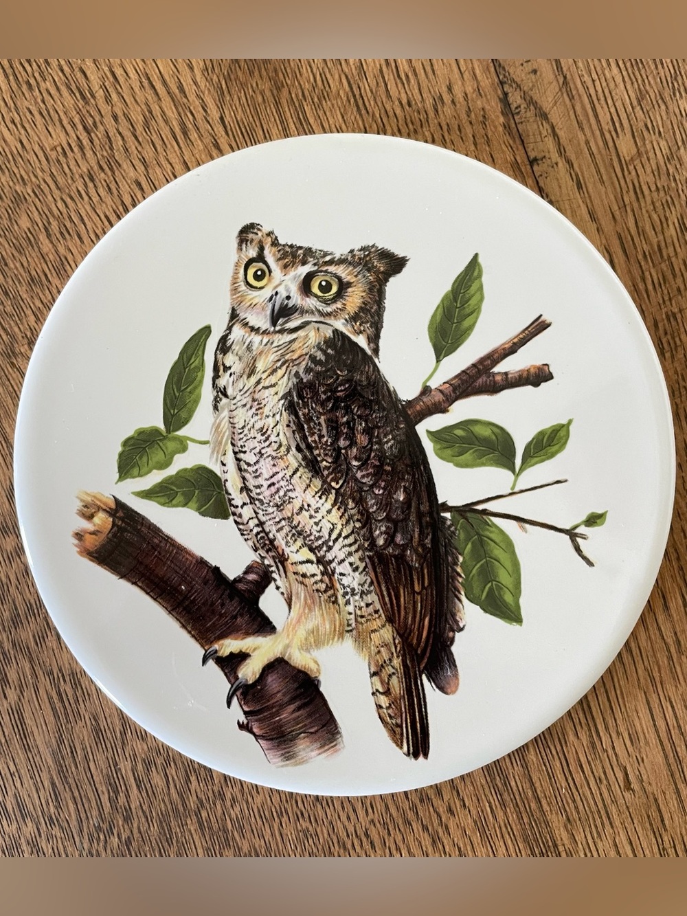 Vintage Mid State Owl Trivet